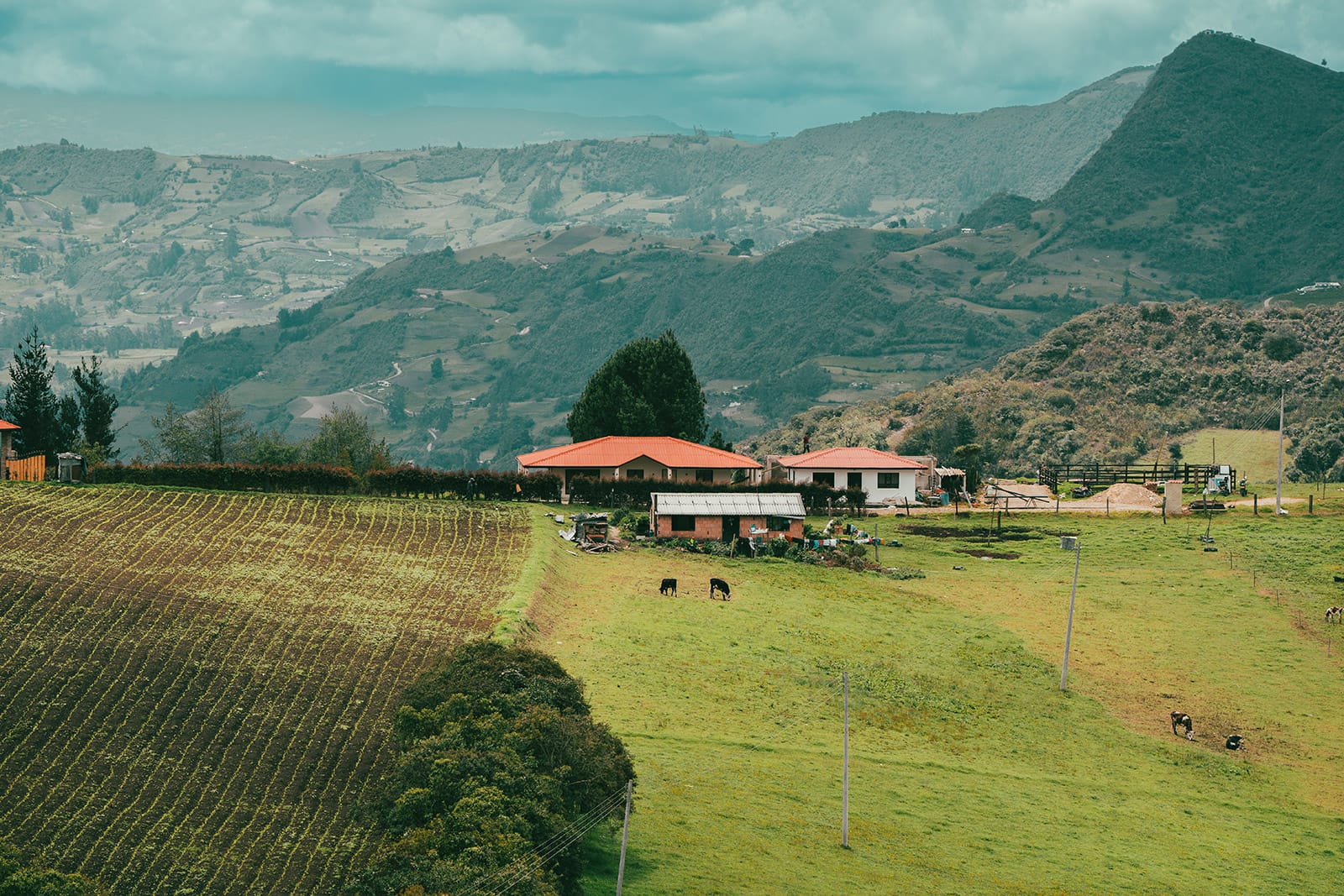 The perfect cycling holidys awaits for you in Colombia